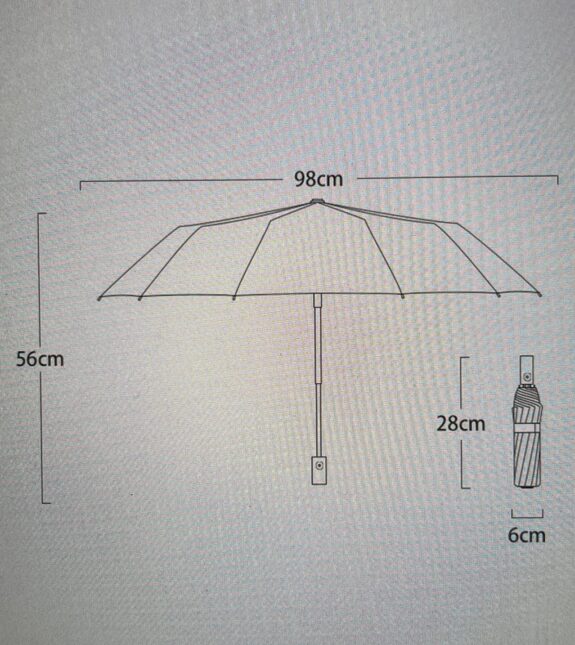 Parapluie Tesla – Image 3